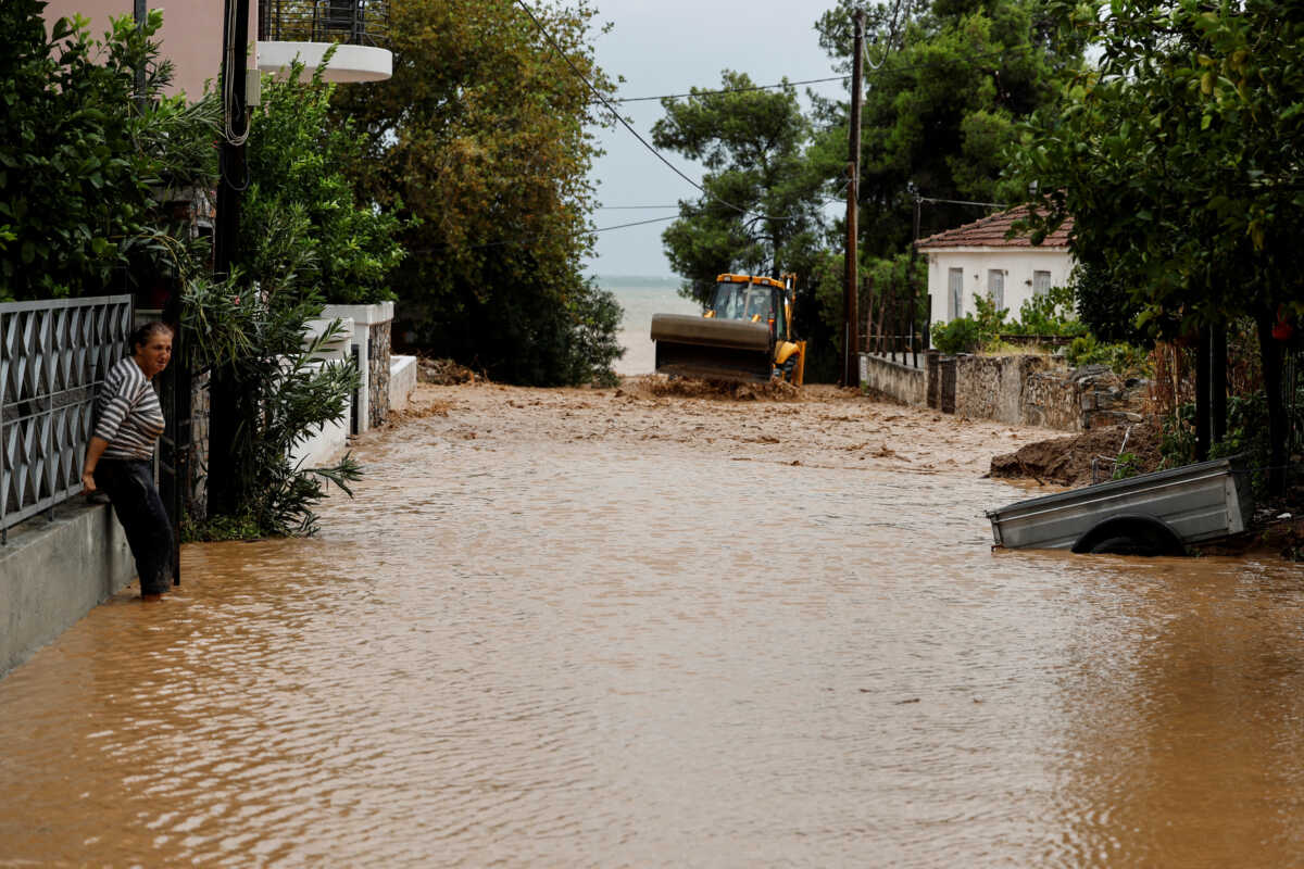 Κακοκαιρία – Αγαπηδάκη: Λασπόνερα και νεκρά ζώα οι δύο βασικές εστίες μόλυνσης στις πλημμυρισμένες περιοχές