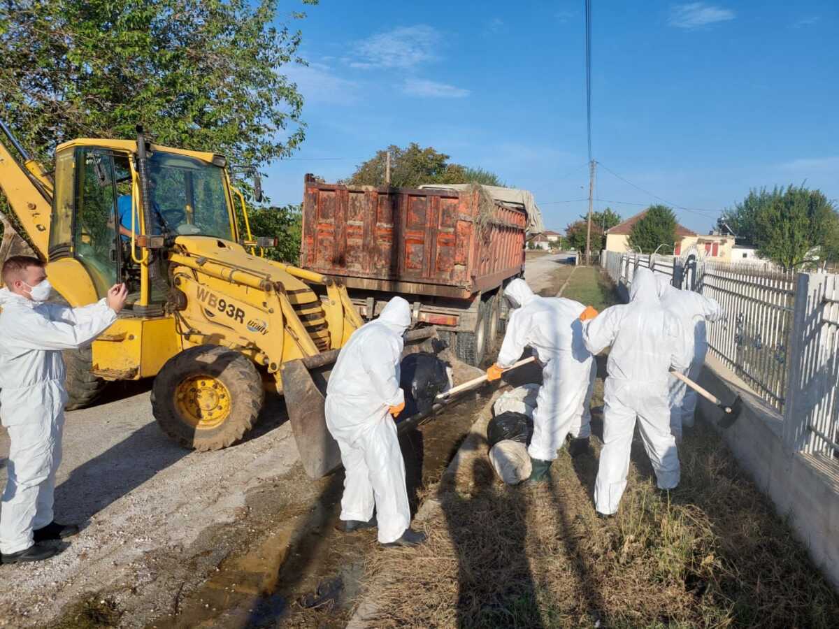 Θεσσαλία: Καρέ καρέ οι επιχειρήσεις αποκομιδής των νεκρών ζώων – Ειδικές στολές και αυστηρά υγειονομικά πρωτόκολλα