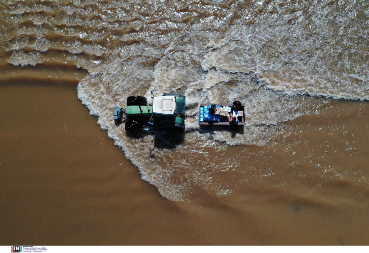 Θεσσαλία: Τι είναι το «σύνδρομο μετά την πλημμύρα» και ποια πρέπει να είναι η διαχείριση στις πολυετείς καλλιέργειες