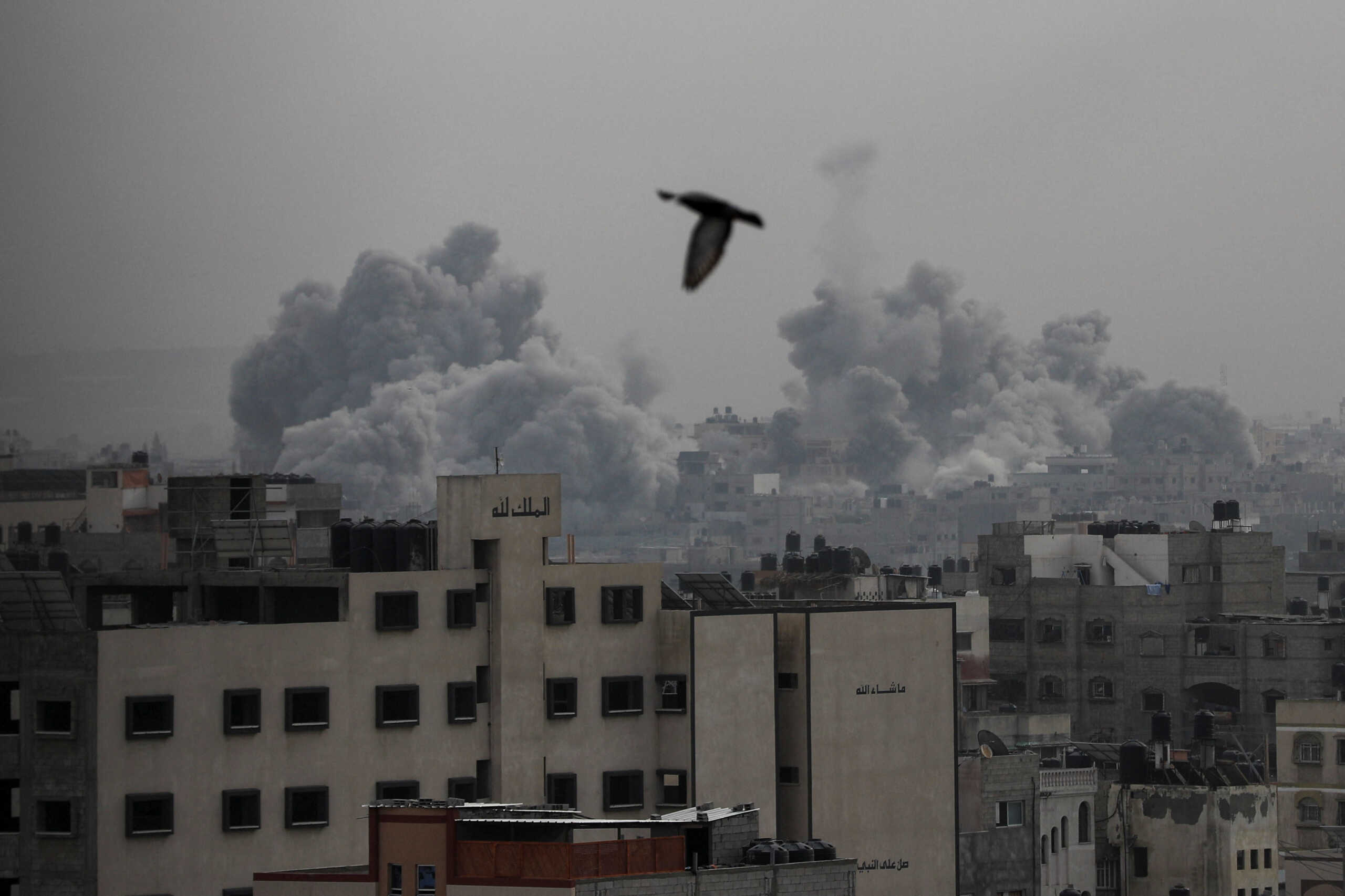 Πόλεμος στο Ισραήλ: «Η εκεχειρία απλώς ευνοεί την Χαμάς» λέει ο εκπρόσωπος Τύπου του Νετανιάχου