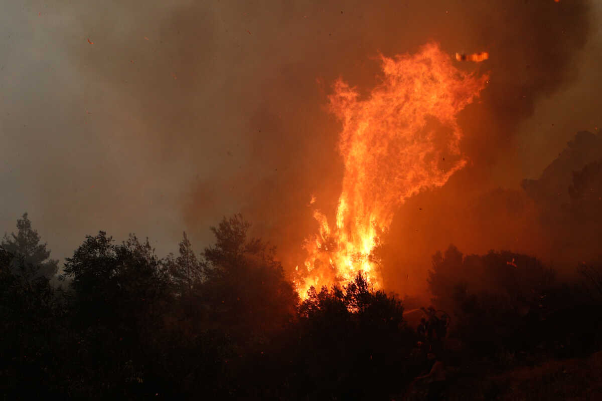 Φωτιά στη Νέα Μάκρη – Επιχειρούν επίγειες και εναέριες δυνάμεις