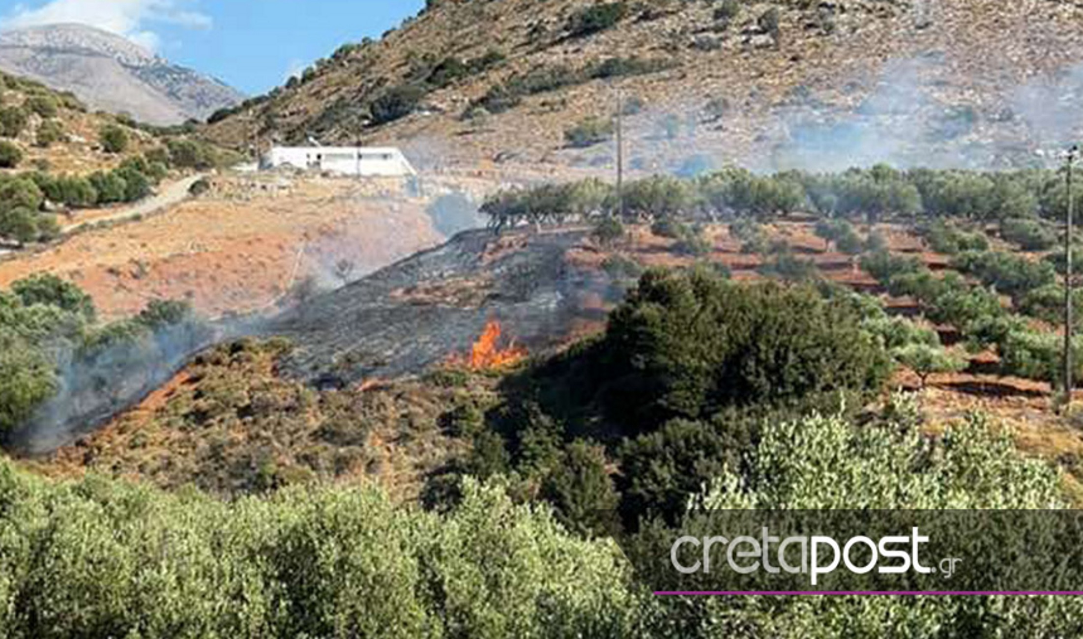 Κρήτη: Φωτιά σε αγροτοδασική έκταση στην Αγία Παρασκευή