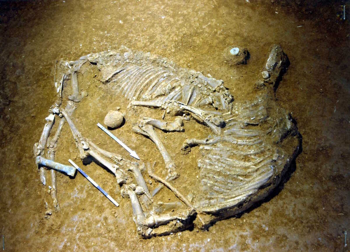 Εύβοια: Βρέθηκε και άλλος ανθρώπινος σκελετός στη διάρκεια εργασιών – Οι πρώτες εκτιμήσεις για τα λείψανα