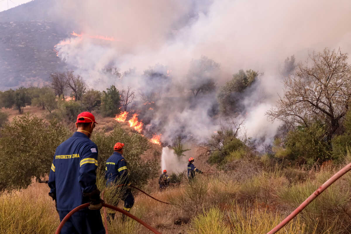 Φωτιά στον Σχινιά κοντά στο κωπηλατοδρόμιο