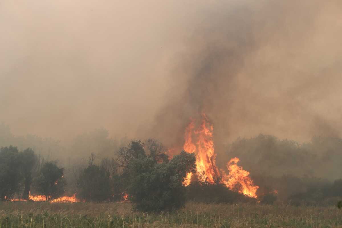 Ο ρόλος της Τεχνητής Νοημοσύνης στη διαχείριση της κλιματικής κρίσης – Πώς μπορεί να βοηθήσει σε καύσωνες, πυρκαγιές και πλημμύρες