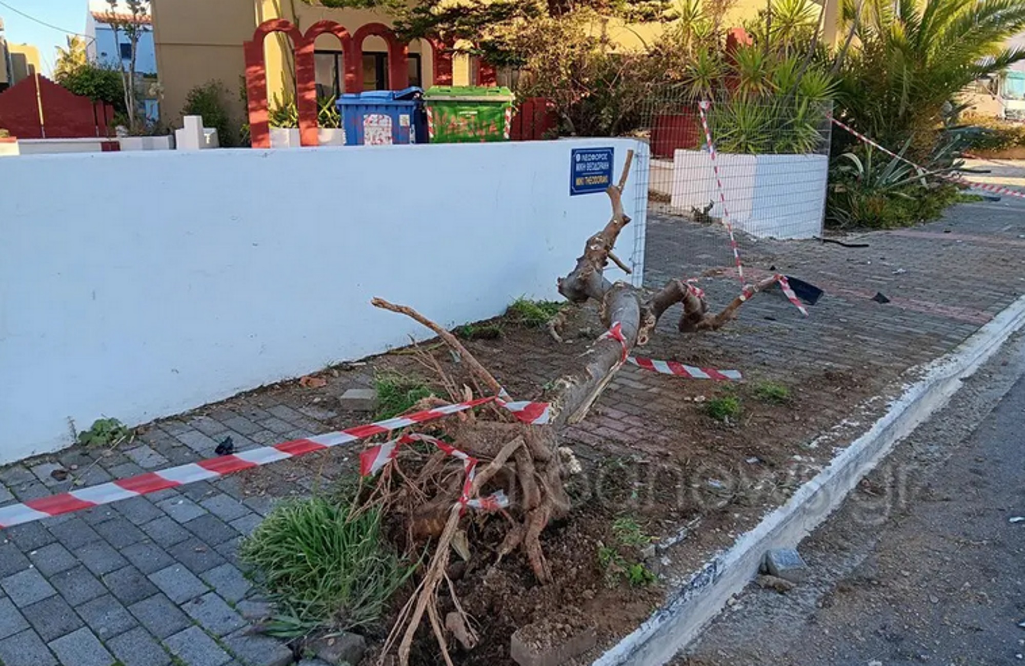 Χανιά: Αυτοκίνητο διέλυσε δέντρο και κατέστρεψε κολώνα φωτισμού μετά από «τρελή» πορεία