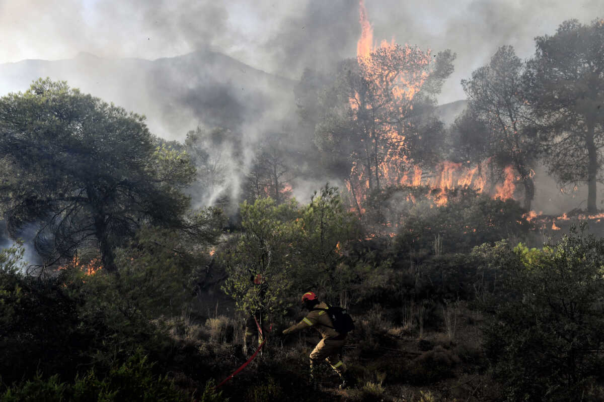 Εύβοια: Δασική φωτιά στο Μαρμάρι με ανέμους 7 μποφόρ στην περιοχή