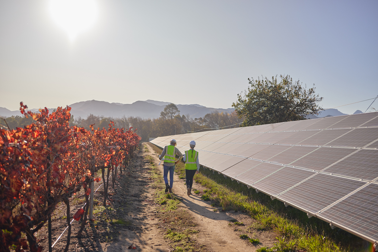 Farm solar panels, electrician team walking and green energy power grid outdoor with blue sky. Agriculture, sustainable workers back and sustainability teamwork of engineer technician people