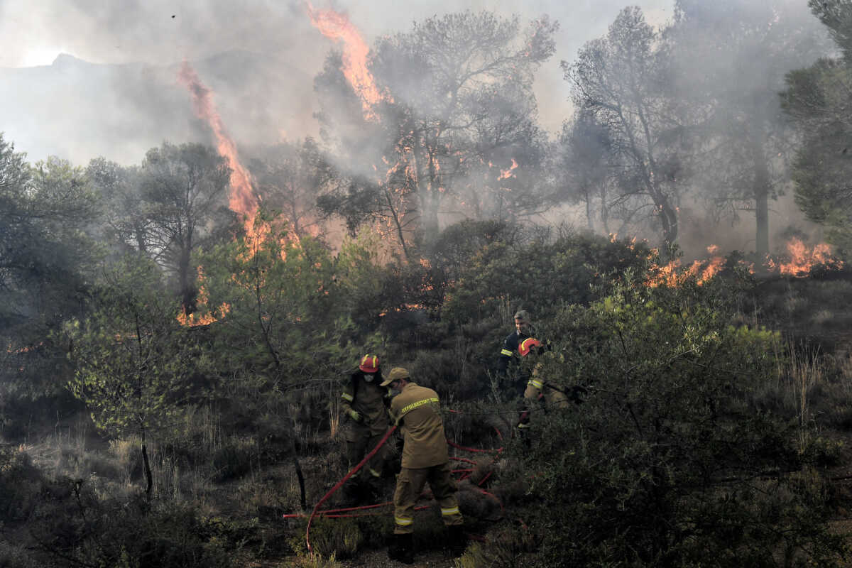 Χανιά: Υπό μερικό έλεγχο η φωτιά στην Κάντανο μετά από ολονύχτια μάχη με τις φλόγες