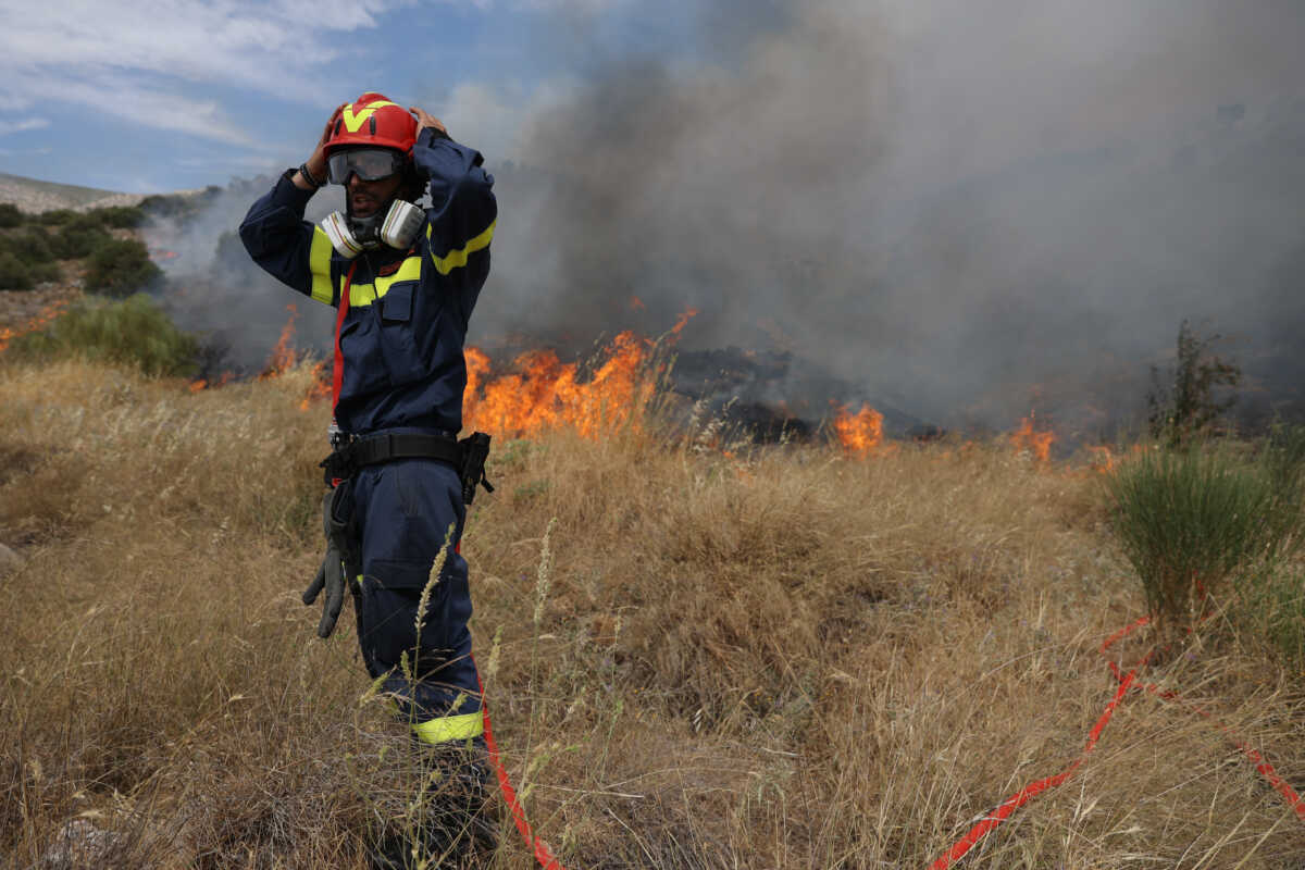 Φωτιά στον Υμηττό: Συνελήφθη Ιρανός για εμπρησμό