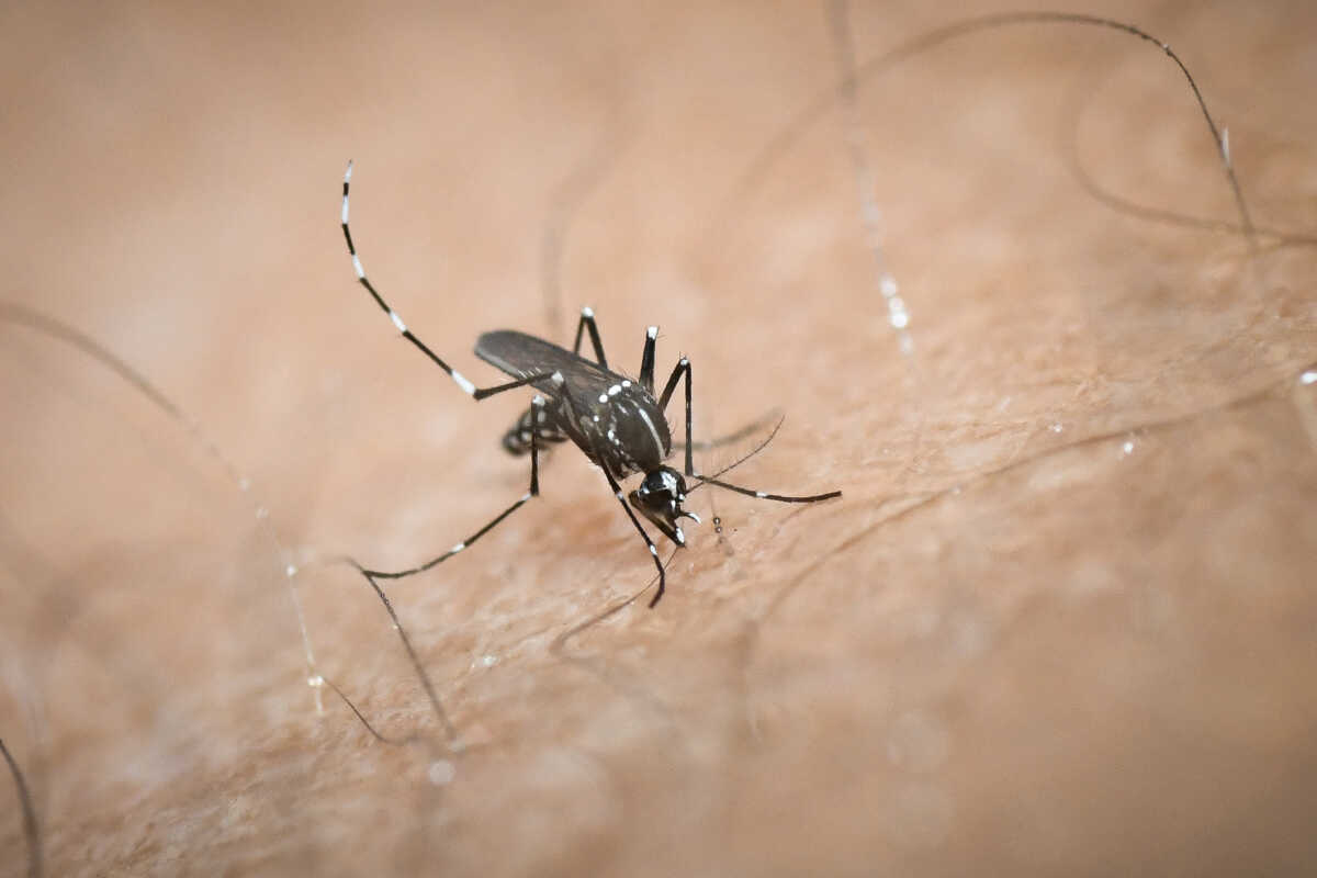 Πώς θα προστατευτούμε από κορονοϊό, ιλαρά, κουνούπια και καύσωνες φέτος το καλοκαίρι – Αναλυτικές οδηγίες