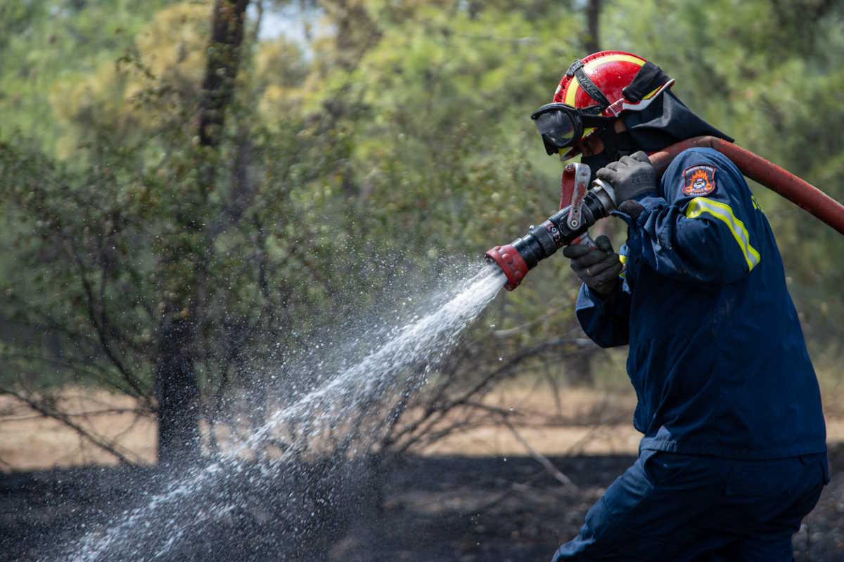 Φωτιά στο Άλσος Βεΐκου κινητοποίησε μεγάλη δύναμη της Πυροσβεστικής