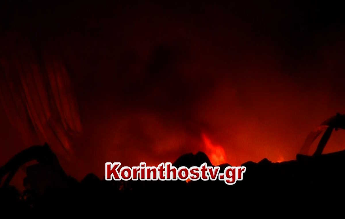 Μούλκι Κορινθίας: Φωτιά έκαψε ολοσχερώς συσκευαστήριο