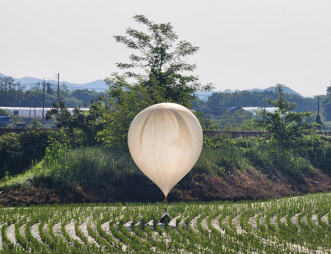 Η Βόρεια Κορέα στέλνει μπαλόνια με σκουπίδια και περιττώματα στη Νότια Κορέα – Ο ορισμός του βρώμικου πολέμου
