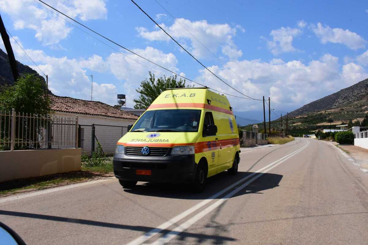 Μεσσηνία: 6χρονο κορίτσι σοβαρά τραυματισμένο στο νοσοκομείο από άγρια επίθεση σκύλου