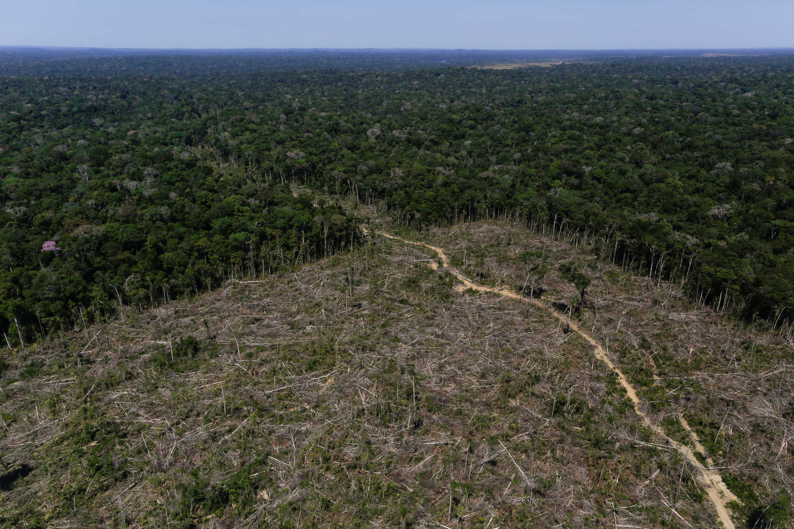 FILE PHOTO: An aerial view shows deforested land during "Operation Green Wave" conducted by agents of the Brazilian Institute for the Environment and Renewable Natural Resources, or Ibama, to combat deforestation in Brazil, July 27, 2017. REUTERS