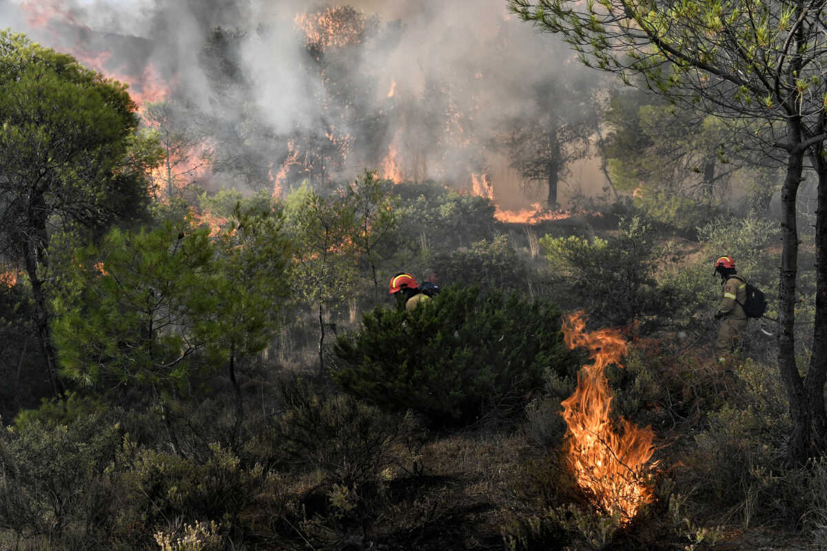 Πώς έγινε η σύλληψη του Τούρκου εμπρηστή στο όρος Αιγάλεω – Είχε κάρτα ασύλου