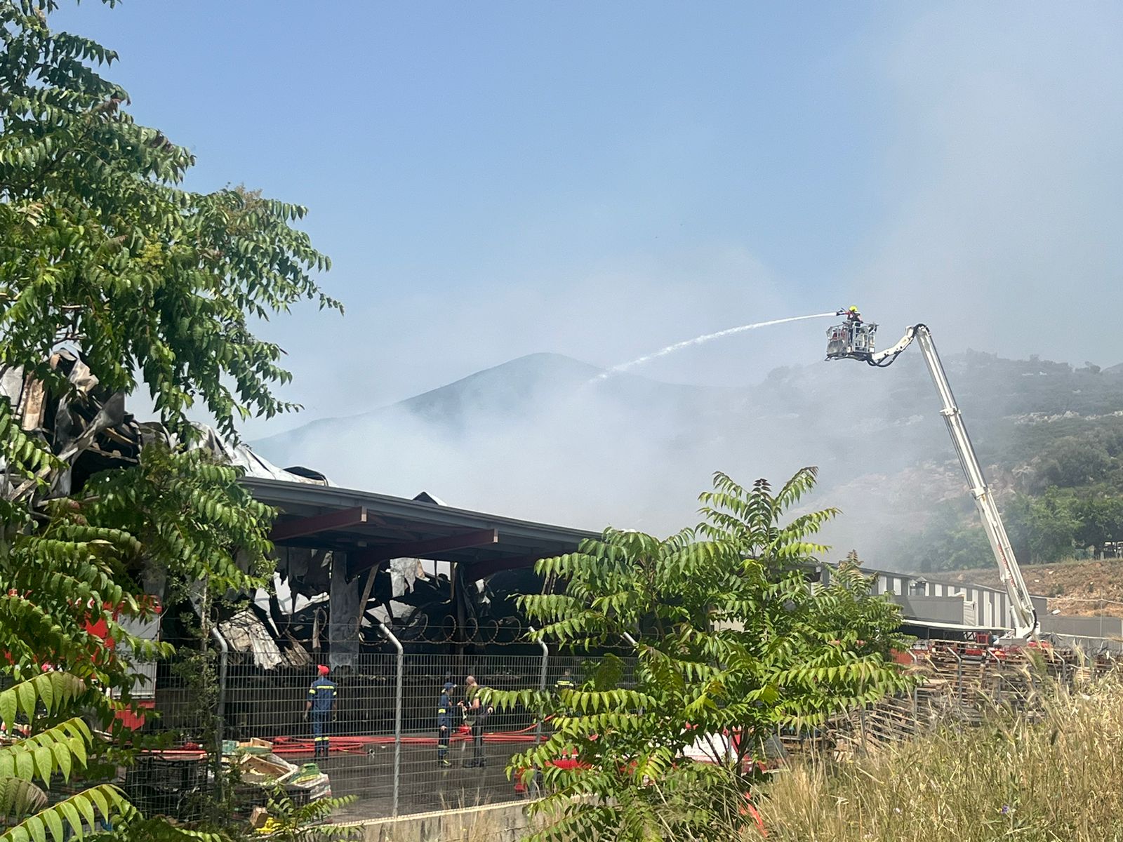 Λαμία: Ο ΕΦΕΤ θα πήγαινε και σήμερα για έλεγχο στο εργοστάσιο που παρασκευάστηκαν τα σχολικά γεύματα και κάηκε ολοσχερώς