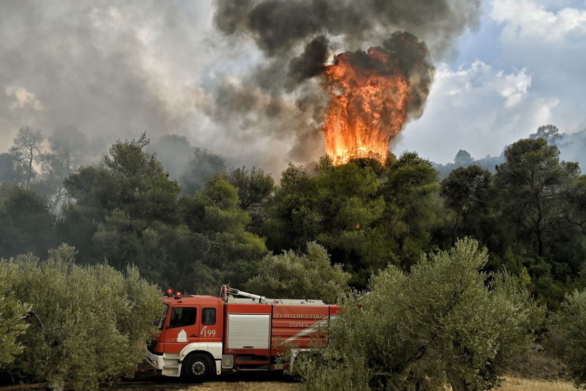 Αργολίδα: Φωτιά στην περιοχή Προσύμνη – Επιχειρούν ισχυρές πυροσβεστικές δυνάμεις