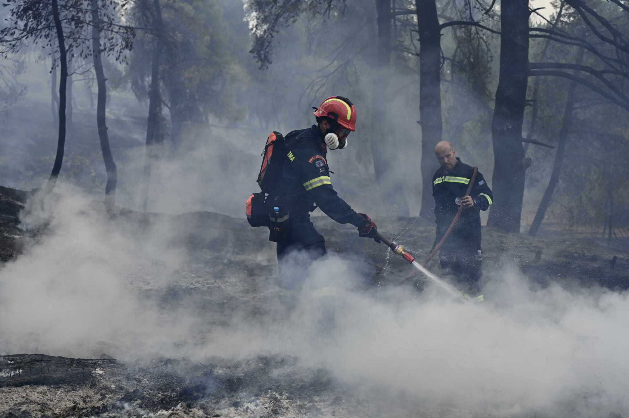 Φωτιά στον Ασπρόπυργο: Υπό μερικό έλεγχο η πυρκαγιά στην Περιφερειακή Αιγάλεω – Επιχειρούν 43 πυροσβέστες στο σημείο