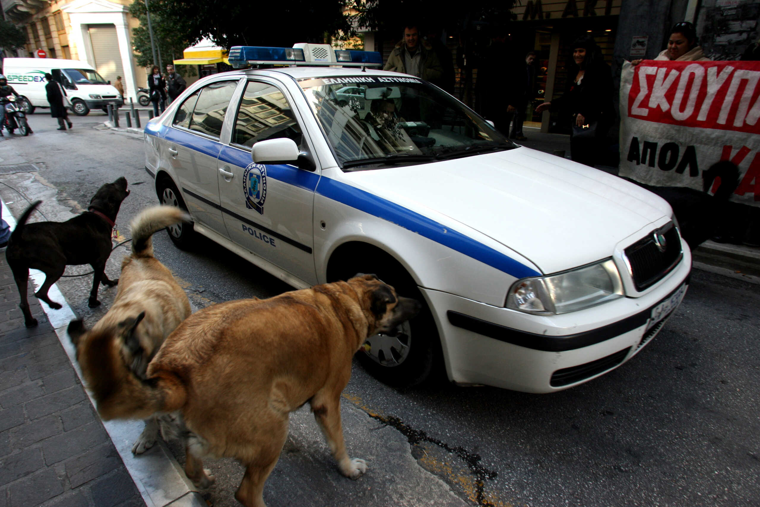 Θεσσαλονίκη: Αποζημίωση 200.000 ευρώ στην οικογένεια 65χρονου που πέθανε μετά από επίθεση αγέλης σκύλων στην Πυλαία