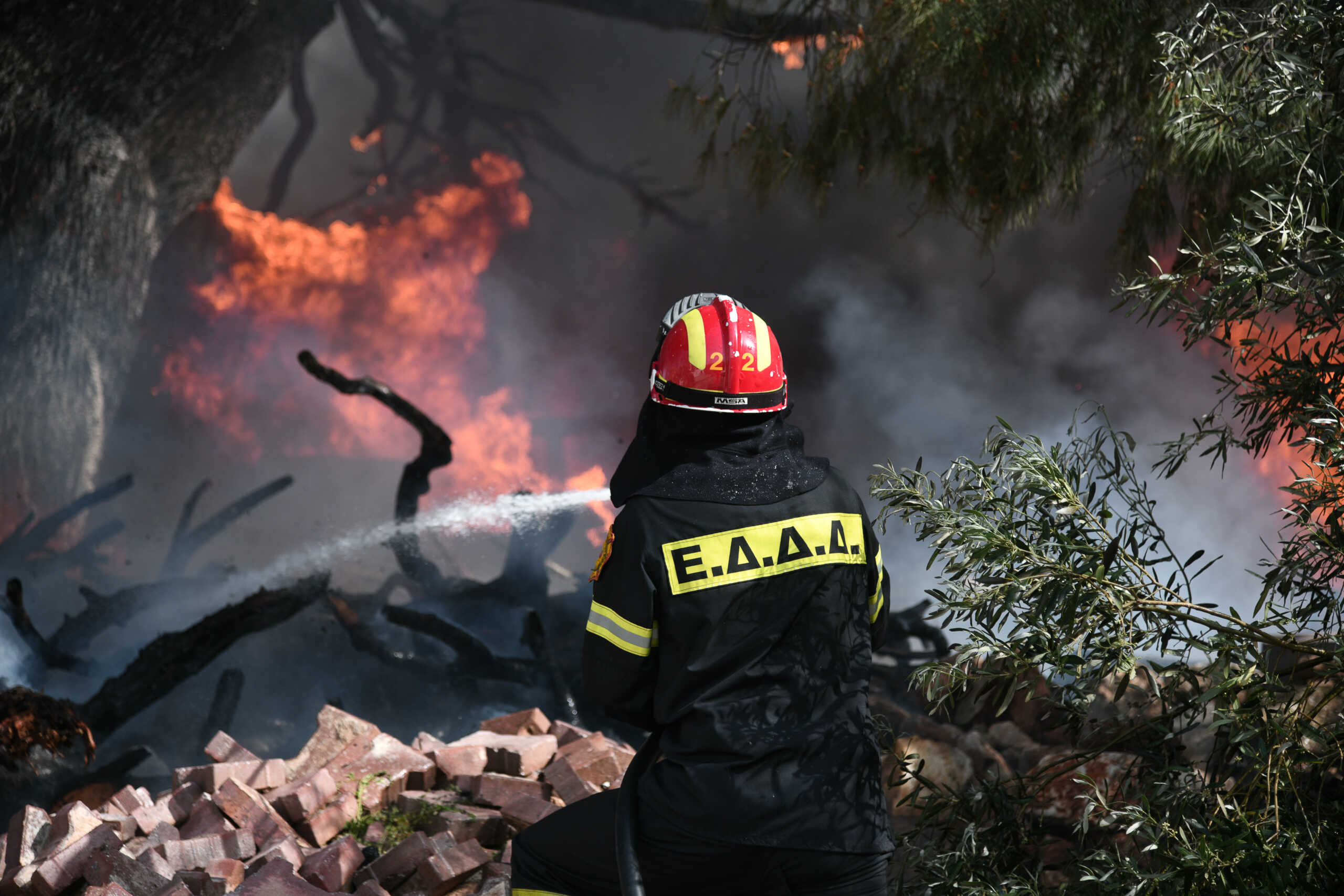 Βόρεια Ελλάδα: Ανάβουν ψησταριές και «καπνίζουν» μελίσσια προκαλώντας πυρκαγιές – Συλλήψεις και πρόστιμα