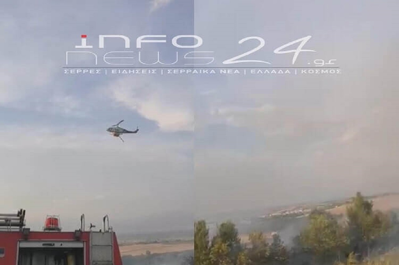 Φωτιά στις Σέρρες στην περιοχή Τερπνή, ισχυρές δυνάμεις στο σημείο