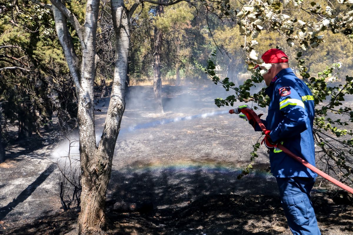 Φωτιά στην Αργολίδα, στην περιοχή Δάρδιζα – Ήχησε το 112