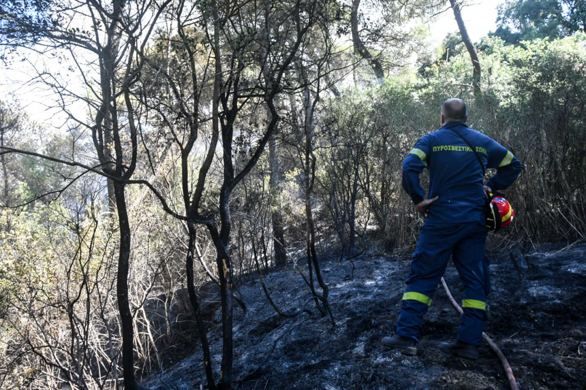 Φωτιά στο Μαστραντώνη Αχαΐας: Πάνω από 30.000 στρέμματα έγιναν στάχτη μέσα σε 12 ώρες