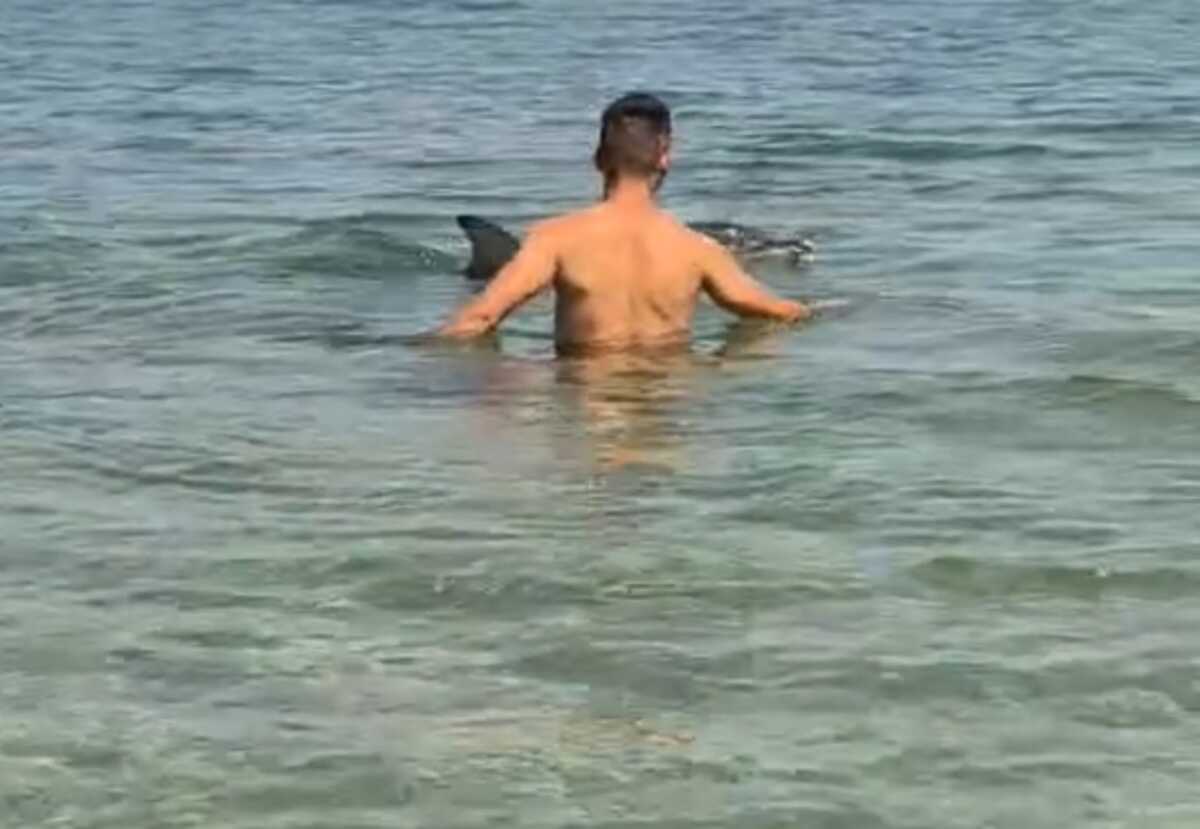 Καβάλα: Βίντεο με δελφίνι να κάνει βόλτες στα ρηχά παραλίας της Νέας Περάμου