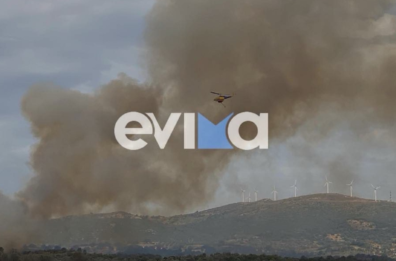 Φωτιά στην Εύβοια: Στη μάχη και εναέρια μέσα, καίγεται δασική έκταση στη Σάμαρη