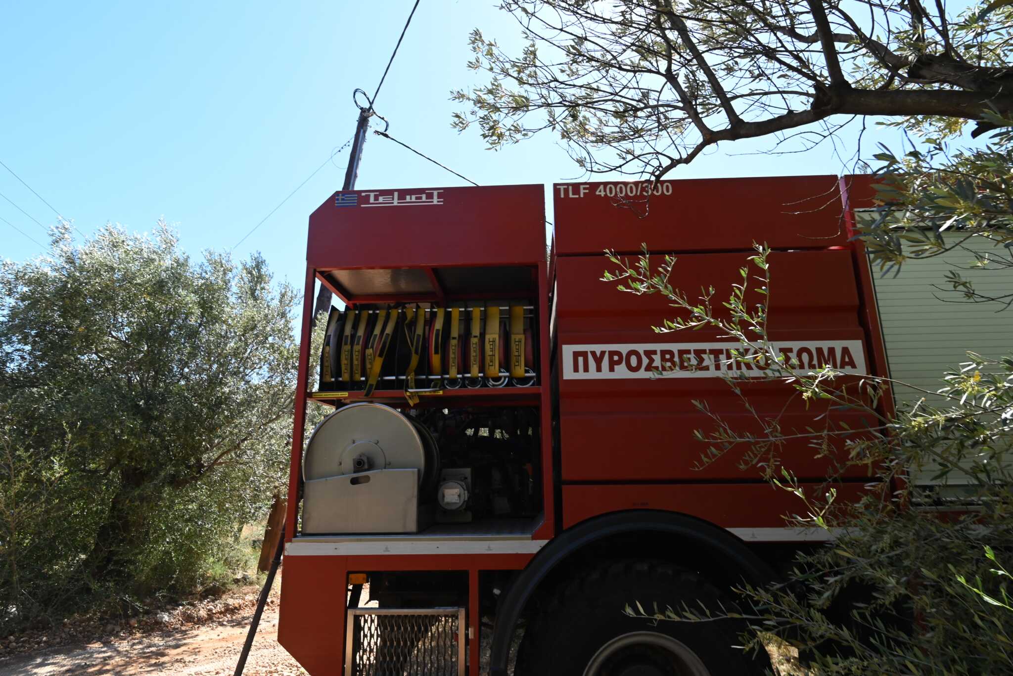 Φωτιά στις Αφίδνες σε δάσος της περιοχής