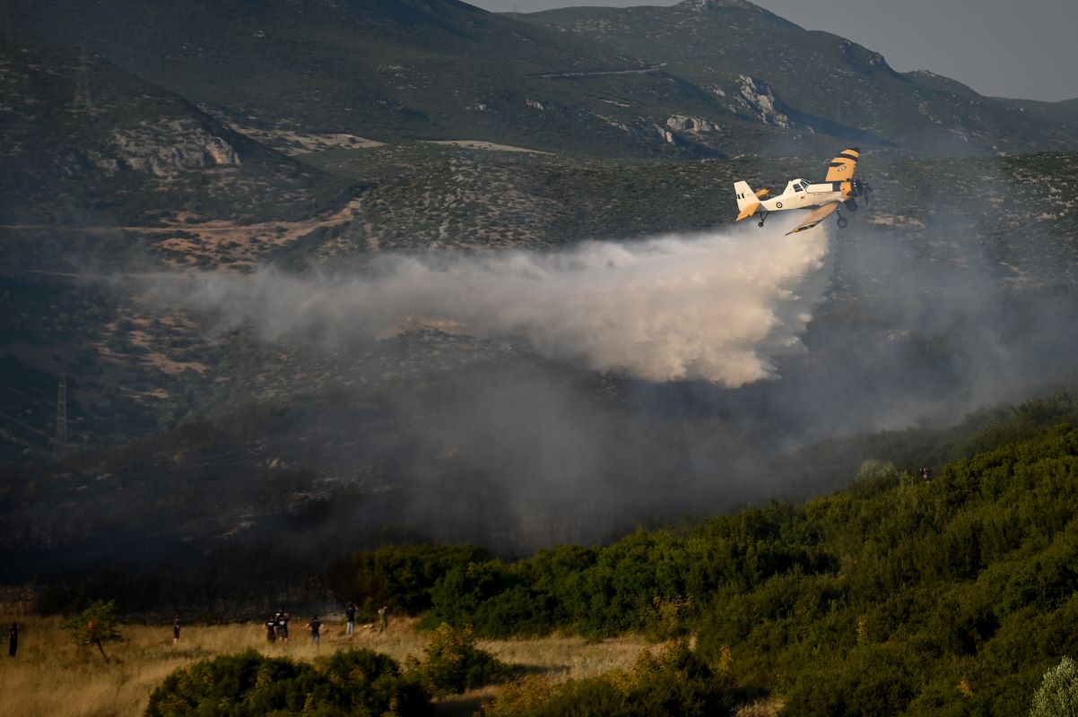 Μεγάλη φωτιά στη Λαμία, στην περιοχή Καμηλόβρυση – Επιχειρούν και 5 αεροσκάφη