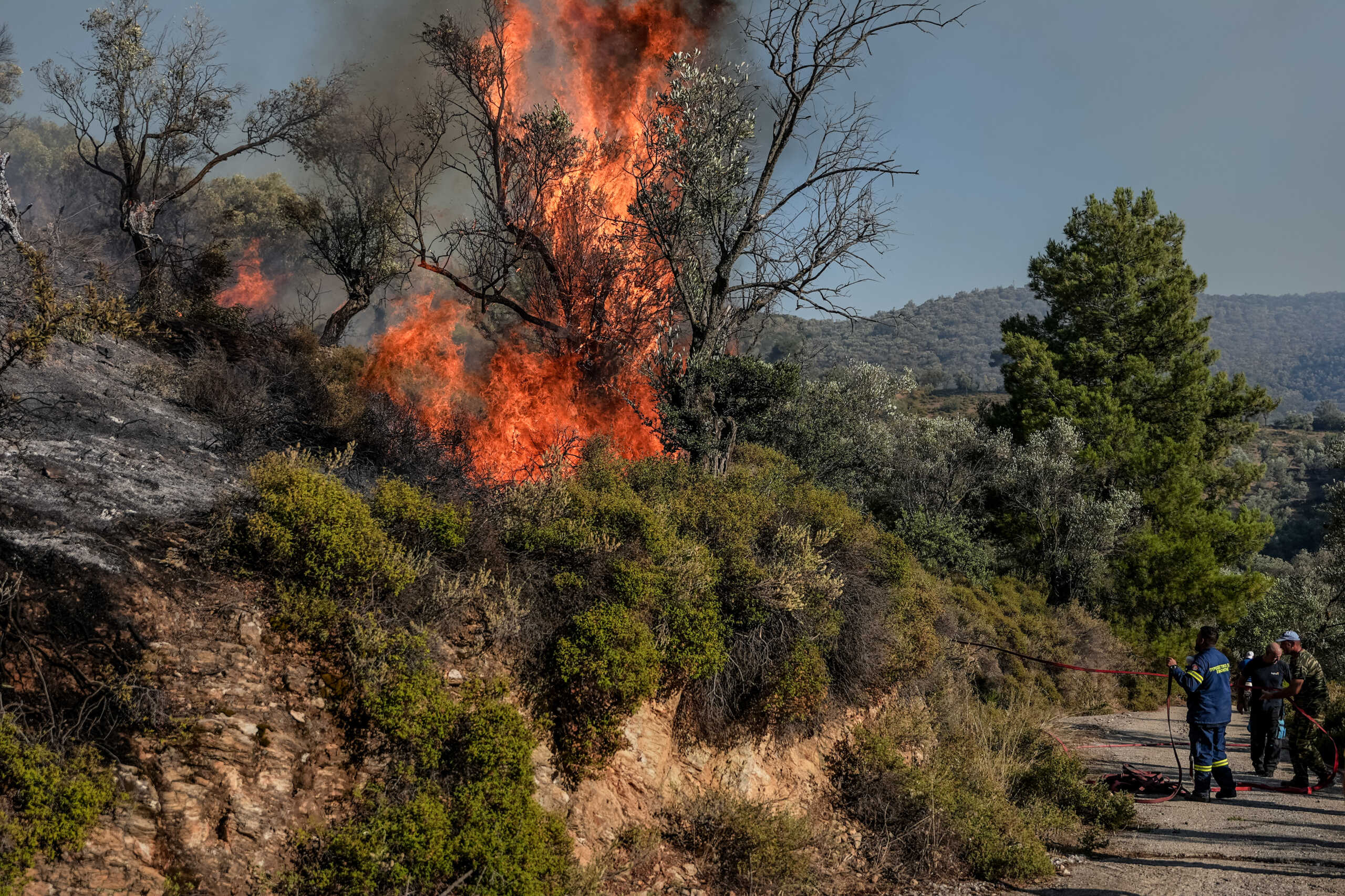 Σε κόκκινο συναγερμό για φωτιές από το μεσημέρι η Αττική – Τα 90 χιλιόμετρα την ώρα θα φτάσουν οι ριπές ανέμου