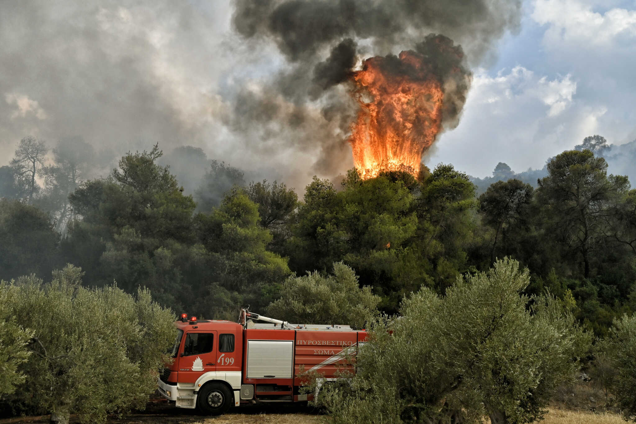 Φωτιά στη Μαγνησία: Συναγερμός του 112 για εκκένωση της περιοχής Γαβριανή