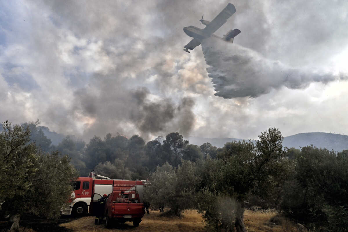 Άνδρος: Χωρίς ενεργό μέτωπο η φωτιά, «κινδύνευσαν ζωές» λέει ο δήμαρχος του νησιού