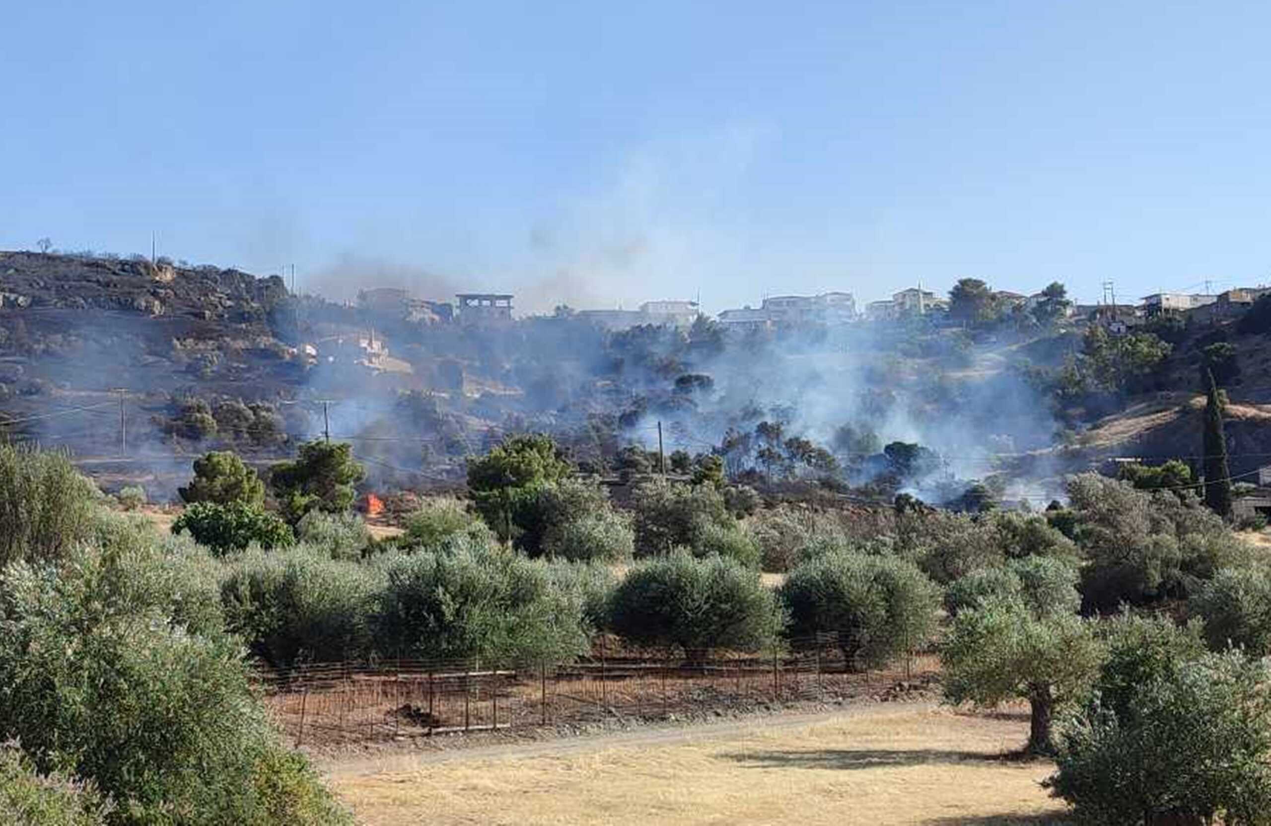 Φωτιά στη Ροδόπη στην περιοχή Ξυλαγανή – Πάνω από 20 πυροσβέστες, σηκώθηκαν αεροσκάφη