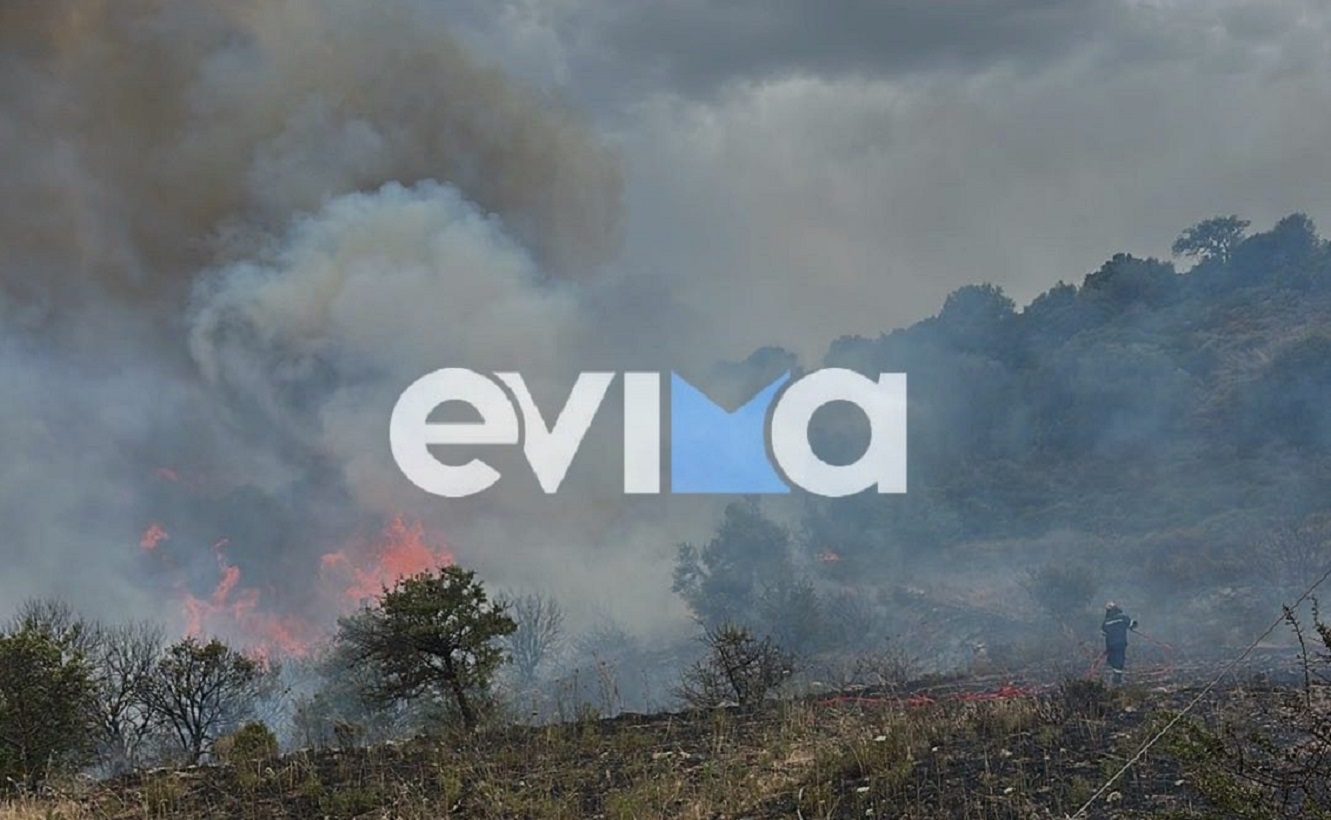 Φωτιά στον Αλμυροπόταμο Ευβοίας – Μήνυμα 112 στους κατοίκους να είναι σε ετοιμότητα