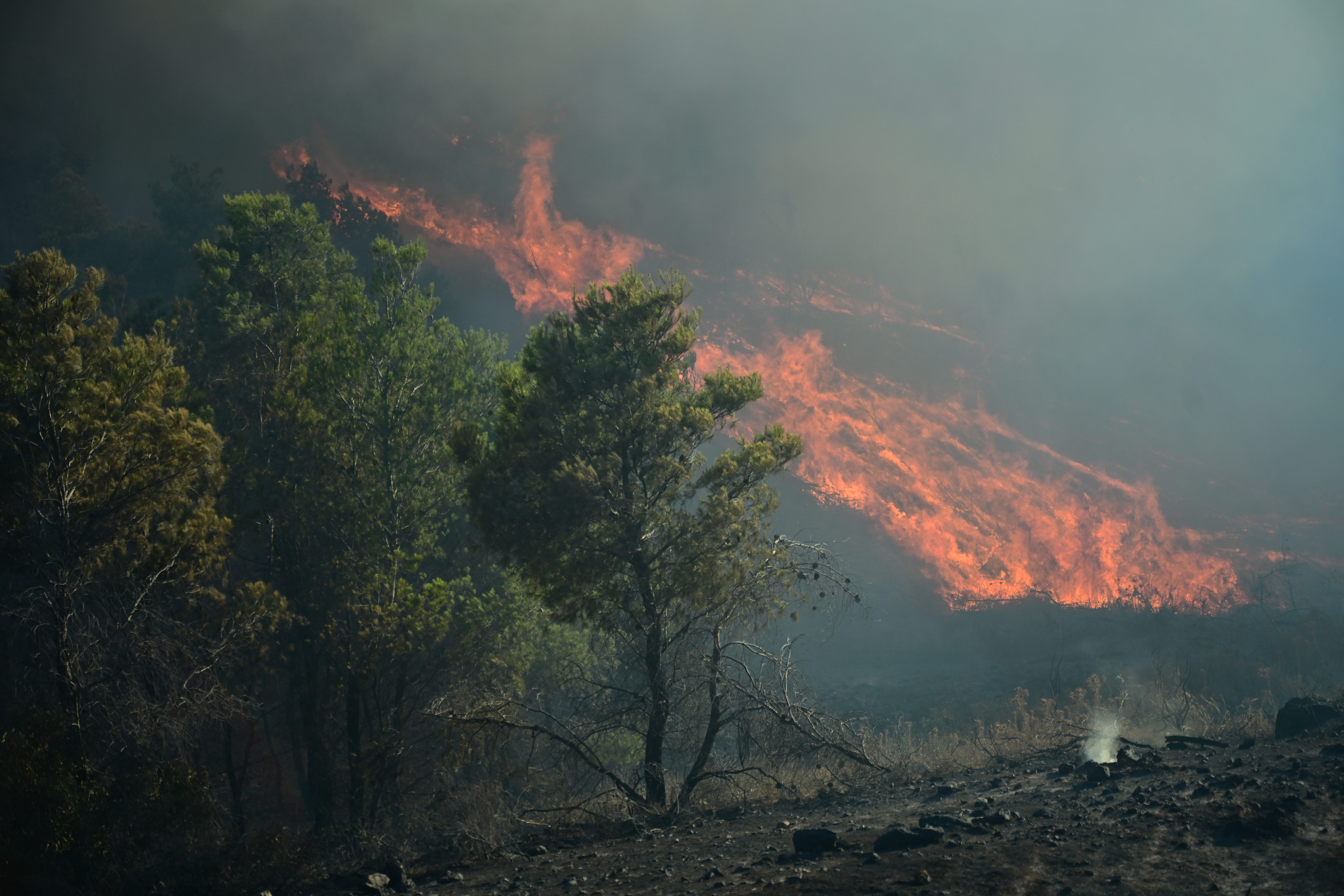 Φωτιά στην Κερατέα: Αναζωπύρωση στη Συντερίνα, καίγεται πευκοδάσος