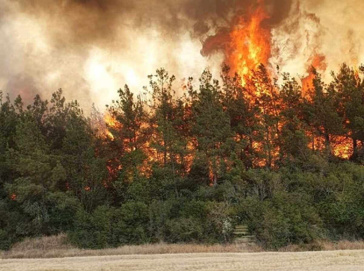 Φωτιά στη Δράμα σε δασική έκταση στο Παρανέστι