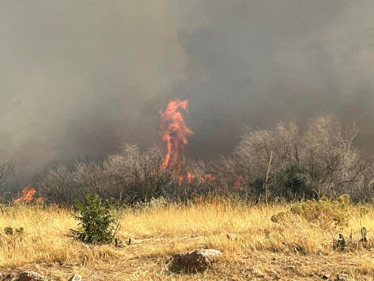 Φωτιά στην Κερατέα: «Προκλήθηκε από εργασίες» λέει ο αντιδήμαρχος Σαρωνικού