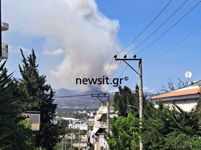 Συναγερμός για φωτιά στο Κατσιμίδι Πάρνηθας – Επιχειρούν 60 πυροσβέστες, 2 αεροπλάνα και 5 ελικόπτερα