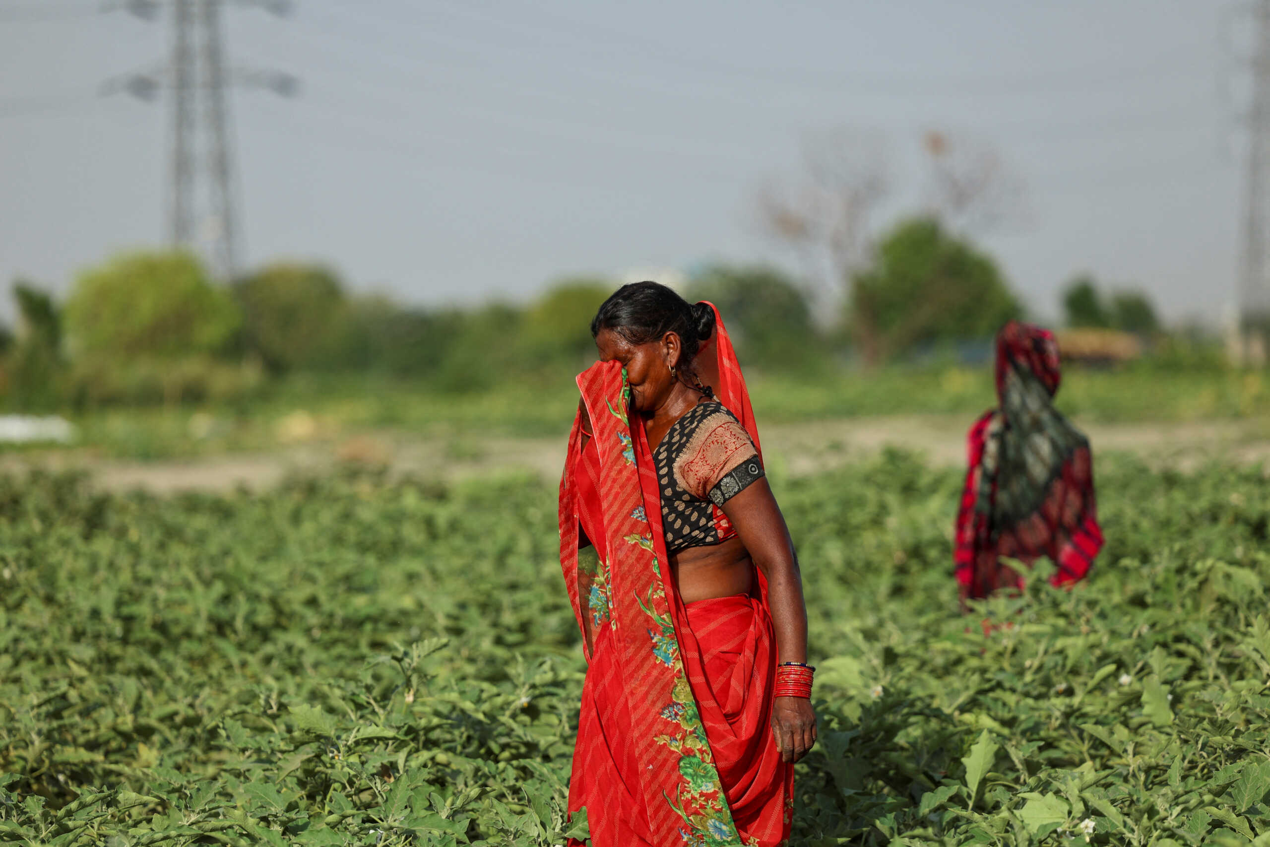 Ινδία: 50.000 αυτοαπασχολούμενες γυναίκες αποζημιώθηκαν με 4,65 ευρώ τον καύσωνα