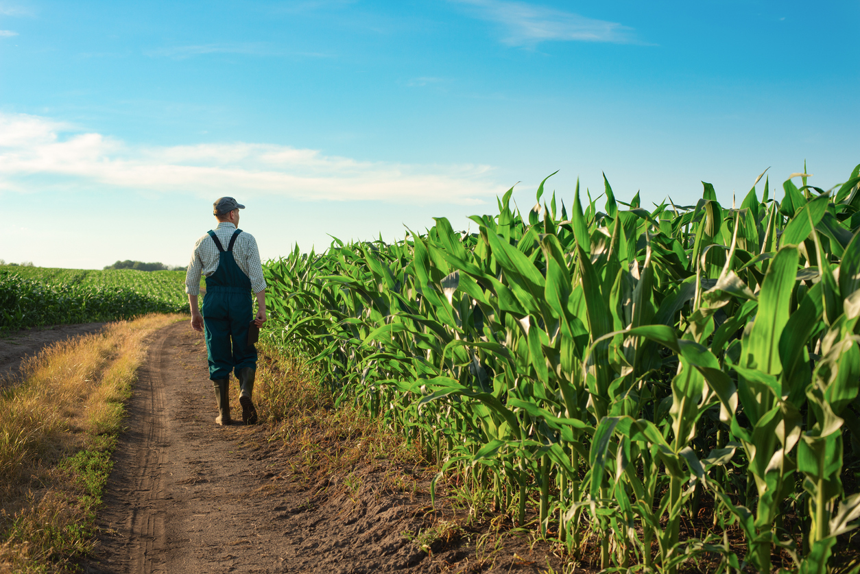 Νέοι Αγρότες: Τι αλλάζει στην βαθμολογία και τις προϋποθέσεις του προγράμματος