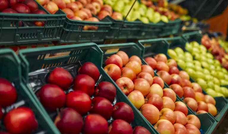 Εξαγωγές αγαθών: Πλήγμα στο εμπορικό ισοζύγιο από τρόφιμα και κλωστοϋφαντουργία – Ποιος ο ρόλος της κλιματικής κρίσης