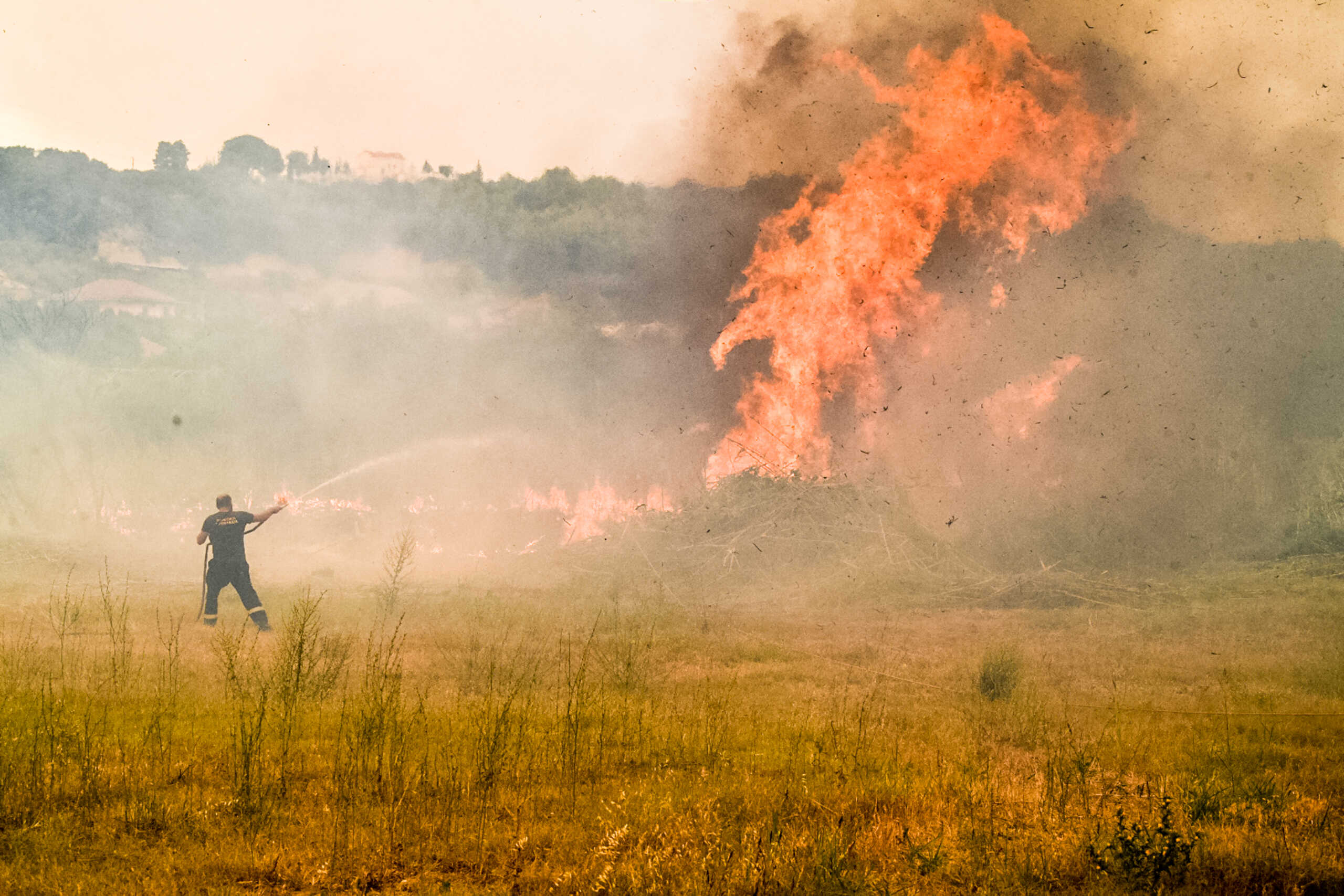 Φωτιά στην Ηλεία: Δύο οι μεγάλες εστίες σε Λάτα και Πρόδρομο – Σηκώθηκαν αεροσκάφη και ελικόπτερα