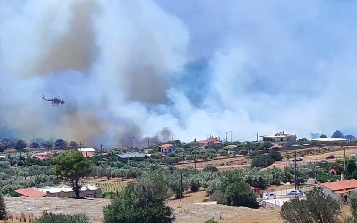 Φωτιά στην Κερατέα κοντά σε σπίτια – Μήνυμα του 112 για εκκένωση πολλών οικισμών