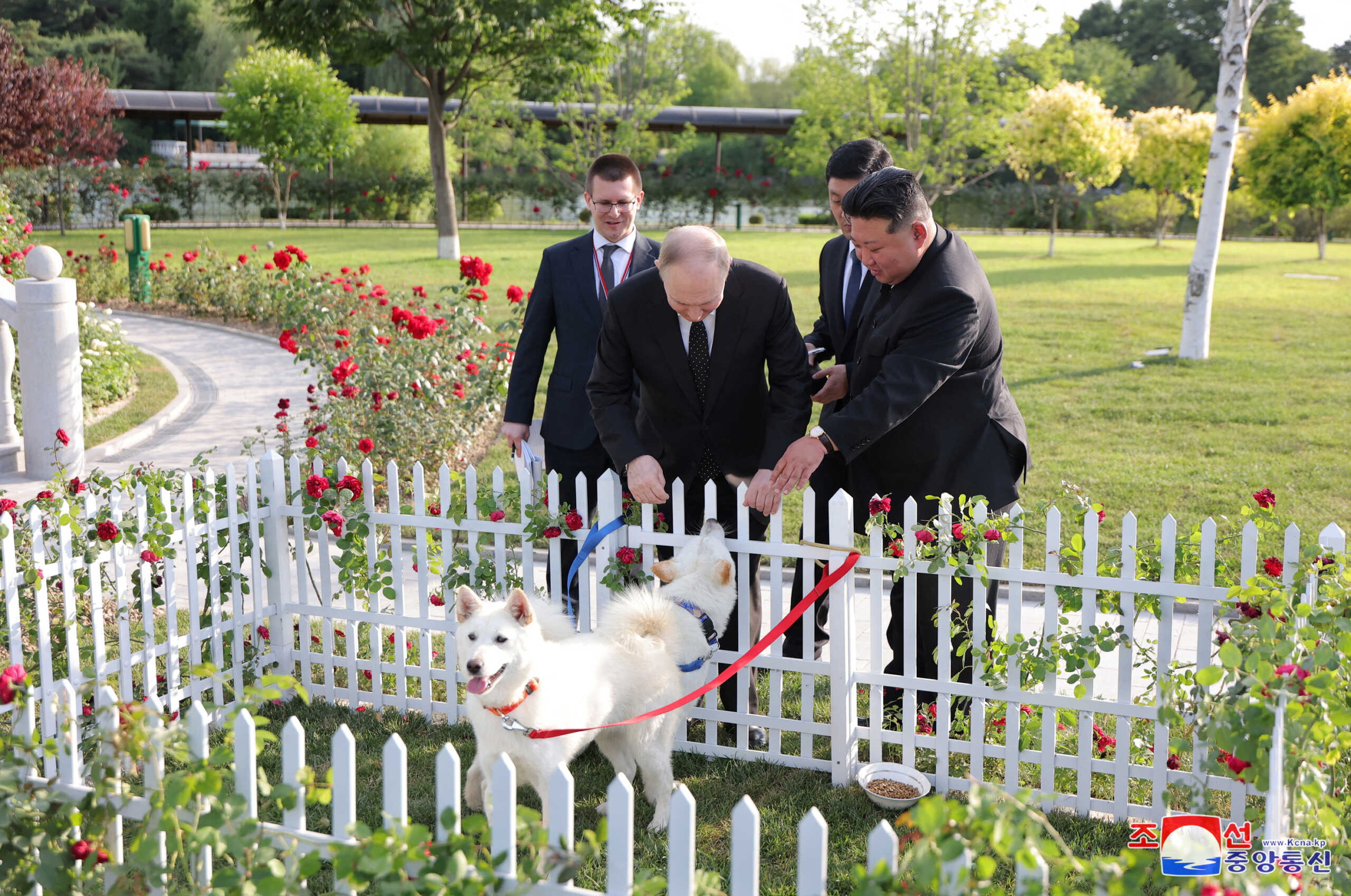 Ο Κιμ Γιονγκ Ουν χάρισε στον Βλαντιμίρ Πούτιν ένα ζευγάρι σκύλους της ράτσας pungsan