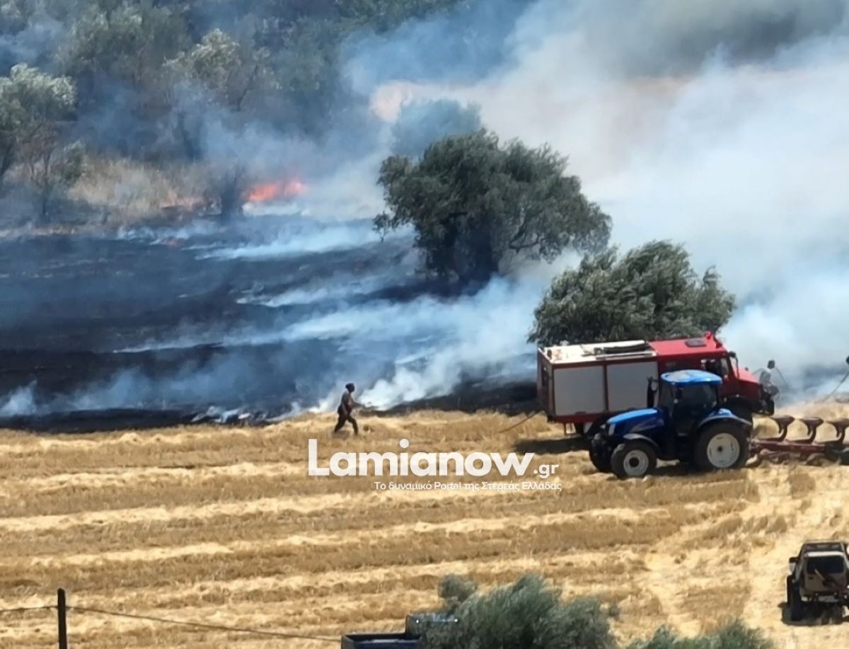 Φθιώτιδα: Φωτιά στην περιοχή της Ελάτειας – Σηκώθηκαν και αεροσκάφη