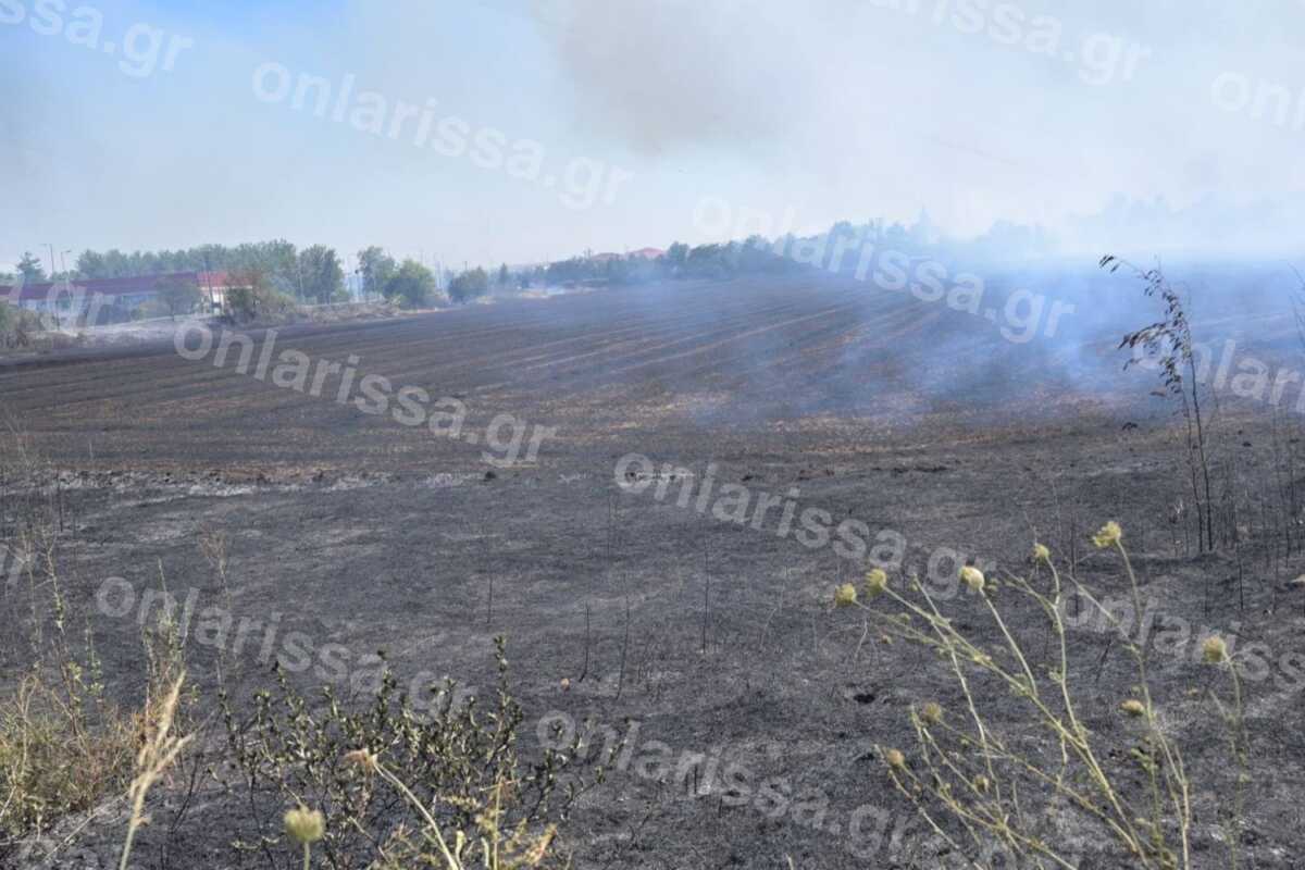 Λάρισα: Σε ύφεση οι πυρκαγιές – Μάχη με 6 μποφόρ και 55 βαθμούς Κελσίου θερμοκρασία εδάφους